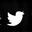 Ícone Twitter